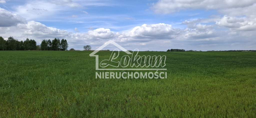 Działka budowlana 5,46&nbsp;ha, Bagna - zdjęcie 4