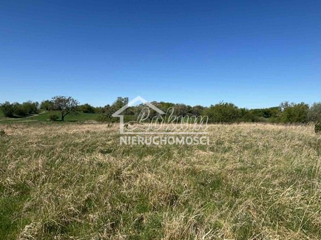 Działka budowlana 1302&nbsp;m², Gryfino - zdjęcie 3