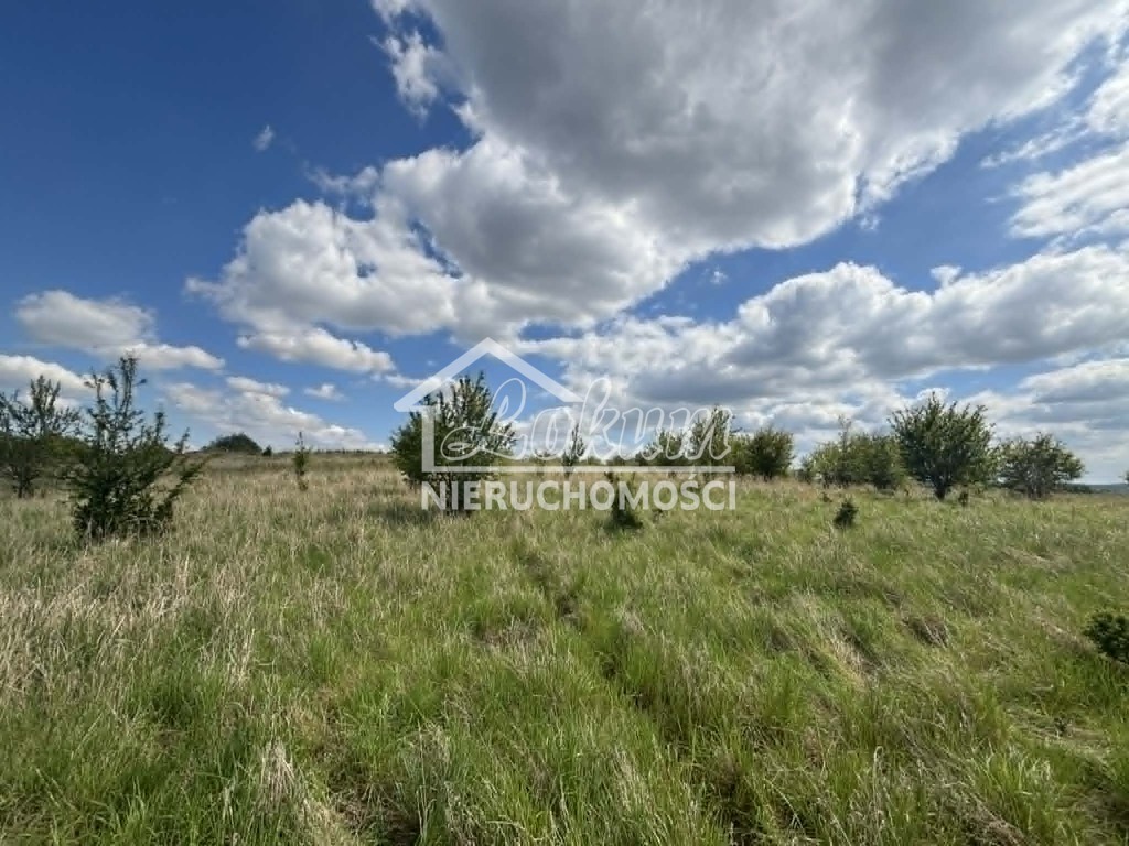 Działka budowlana 1302&nbsp;m², Gryfino - zdjęcie 1