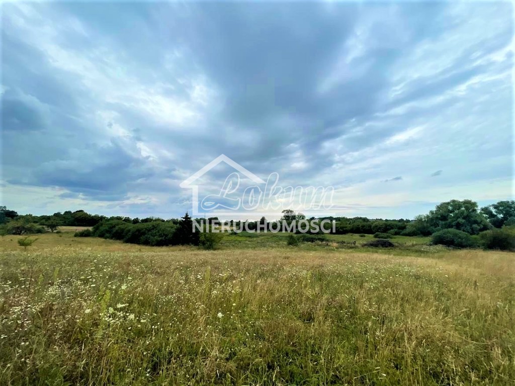 Działka budowlana 990 m², Gryfino - zdjęcie 3
