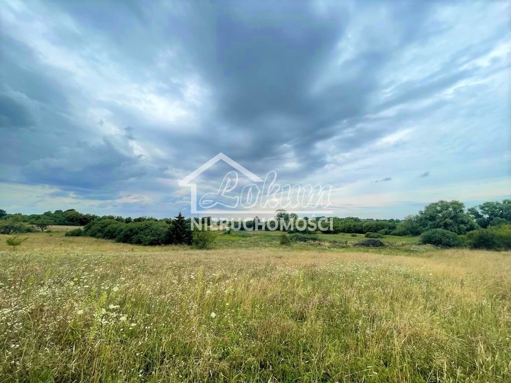 Działka budowlana 990 m², Gryfino - zdjęcie 4