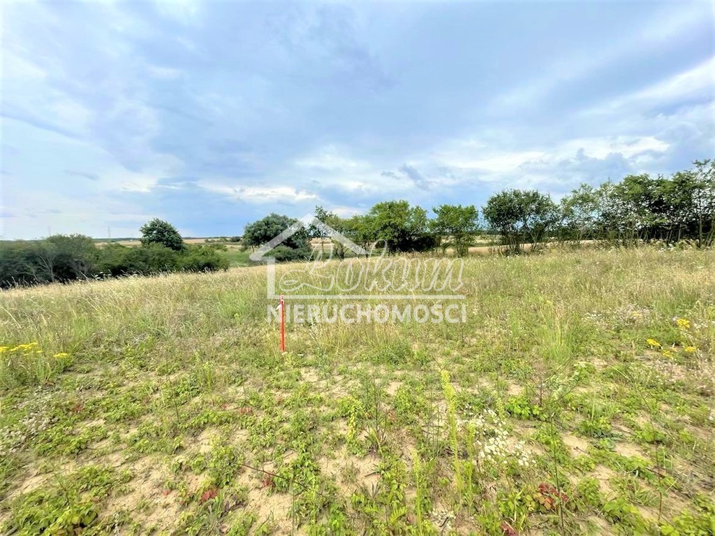Działka budowlana 990 m², Gryfino - zdjęcie 5