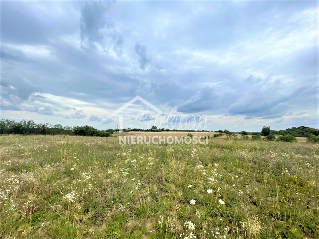 Działka budowlana 990 m², Gryfino - zdjęcie 2