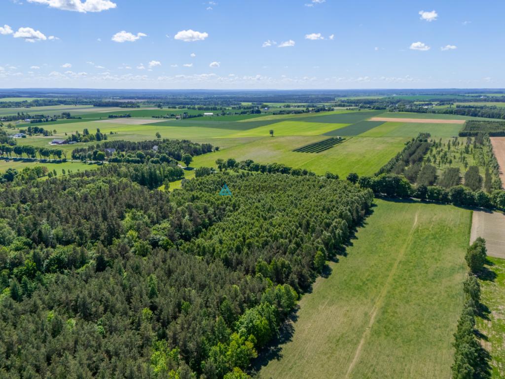Atrakcyjna działka rolna o powierzchni 3,86 ha - zdjęcie 15