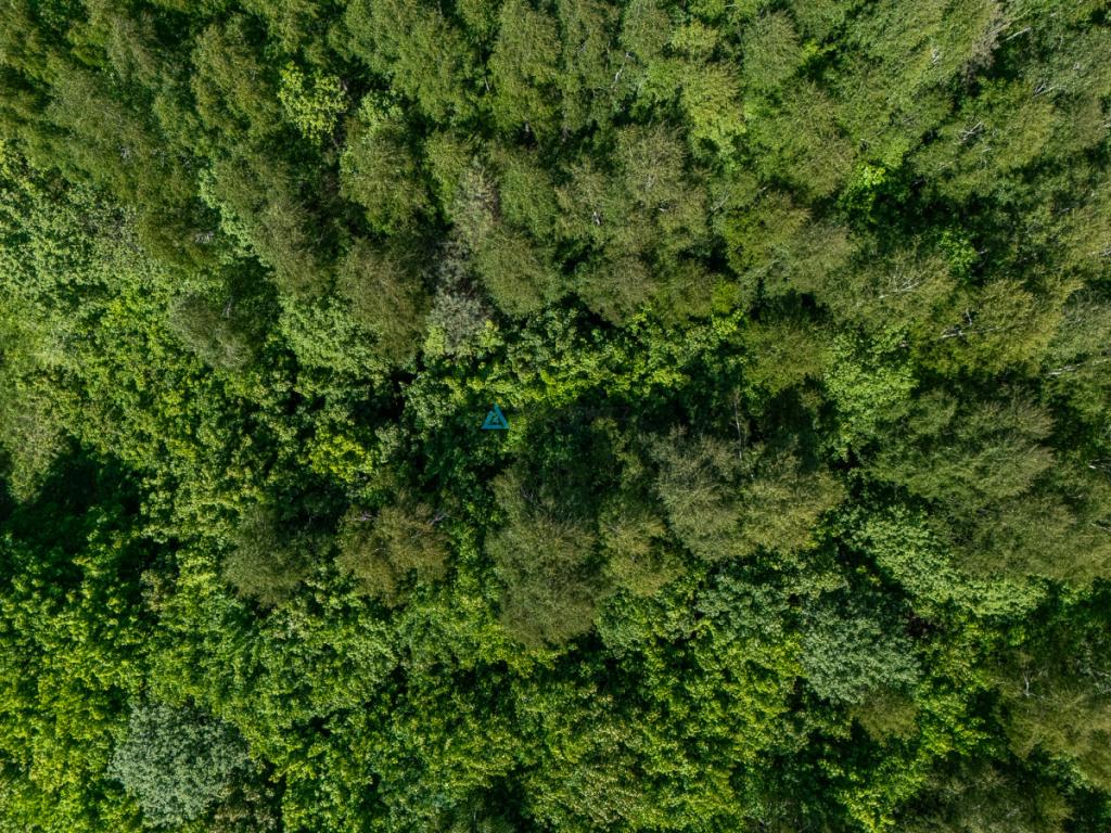 Atrakcyjna działka rolna o powierzchni 3,86 ha - zdjęcie 12