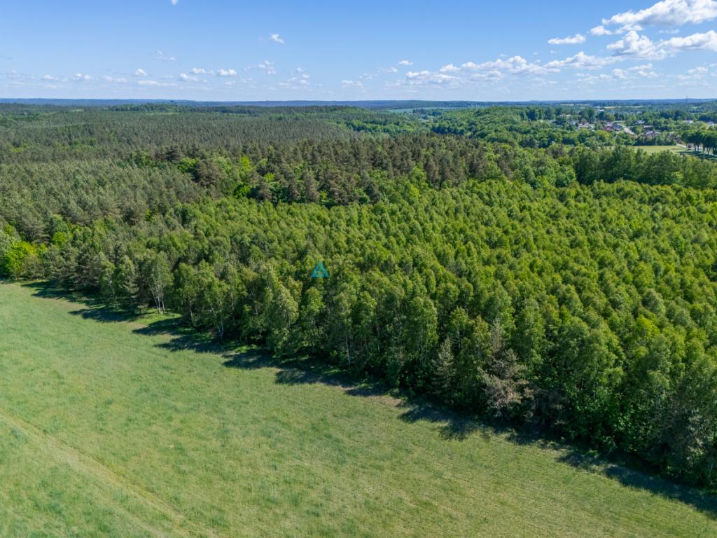 Atrakcyjna działka rolna o powierzchni 3,86 ha - zdjęcie 9