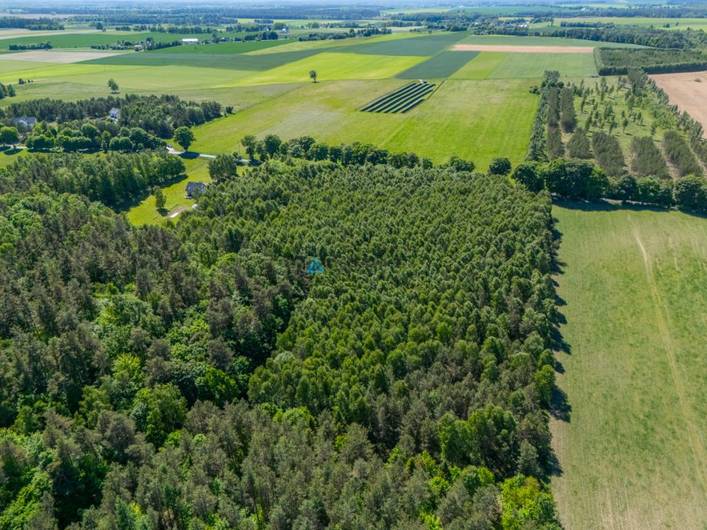 Atrakcyjna działka rolna o powierzchni 3,86 ha - zdjęcie 5