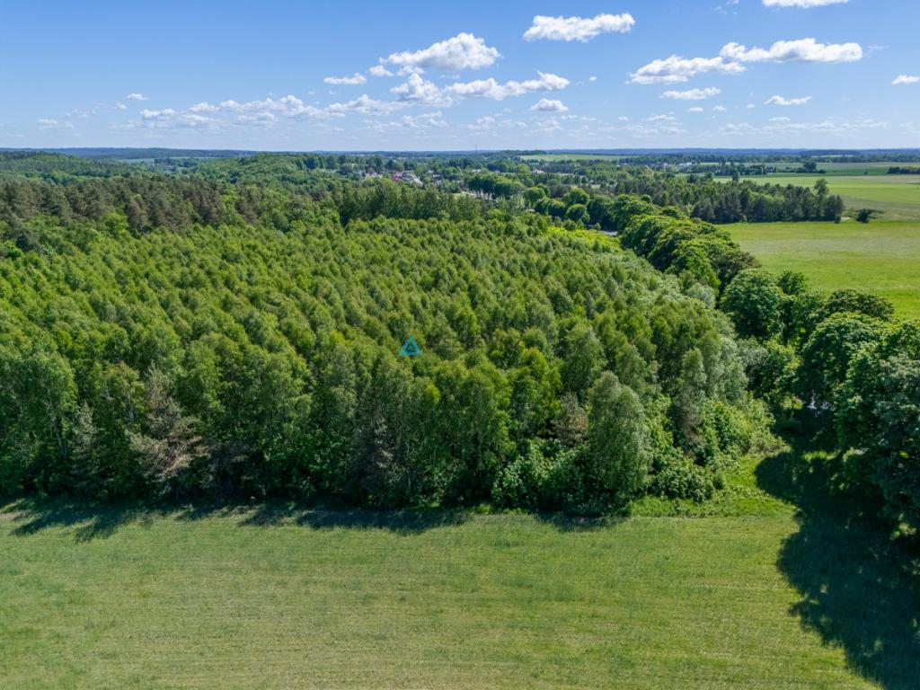 Atrakcyjna działka rolna o powierzchni 3,86 ha - zdjęcie 10