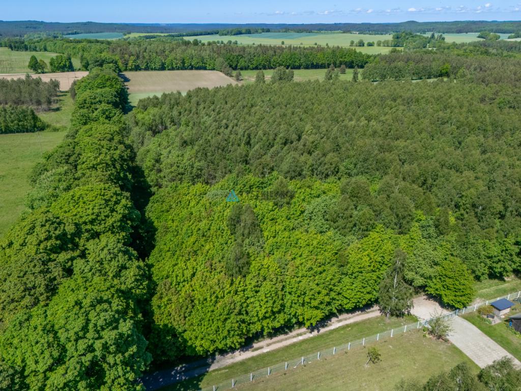 Atrakcyjna działka rolna o powierzchni 3,86 ha - zdjęcie 11