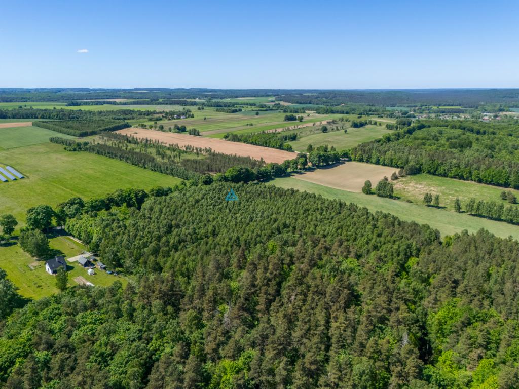 Atrakcyjna działka rolna o powierzchni 3,86 ha - zdjęcie 3