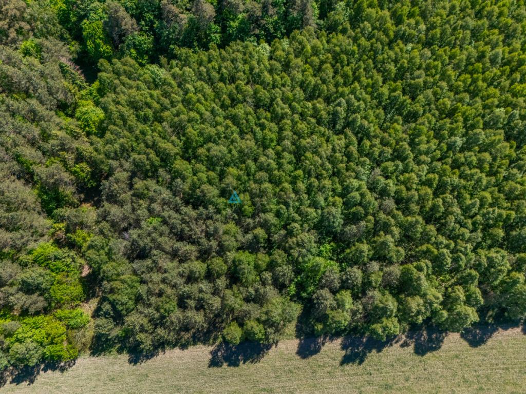 Atrakcyjna działka rolna o powierzchni 3,86 ha - zdjęcie 8