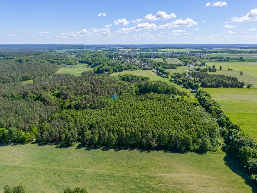 Atrakcyjna działka rolna o powierzchni 3,86 ha - zdjęcie 14