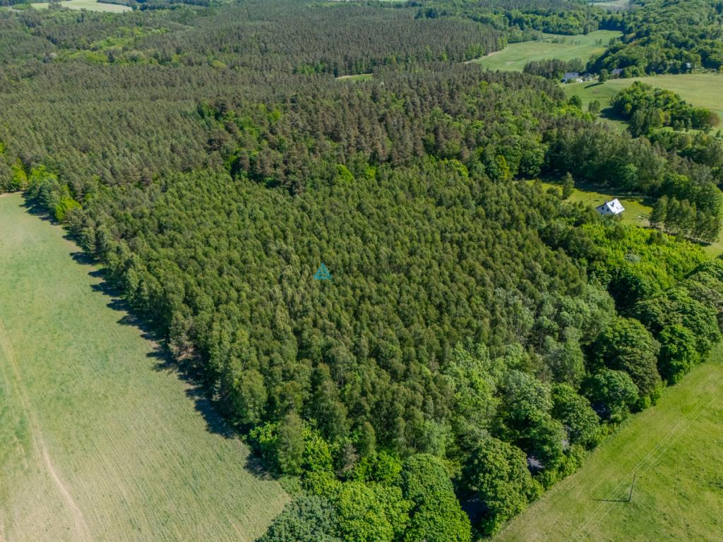 Atrakcyjna działka rolna o powierzchni 3,86 ha - zdjęcie 16