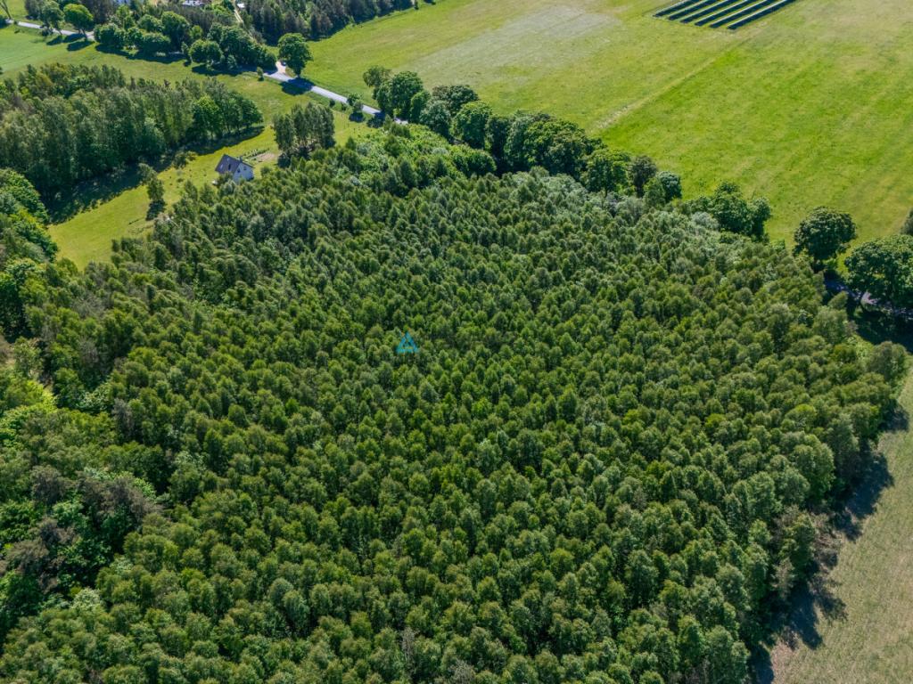 Atrakcyjna działka rolna o powierzchni 3,86 ha - zdjęcie 7