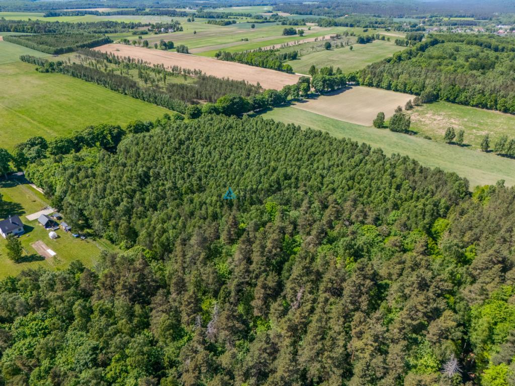 Atrakcyjna działka rolna o powierzchni 3,86 ha - zdjęcie 4