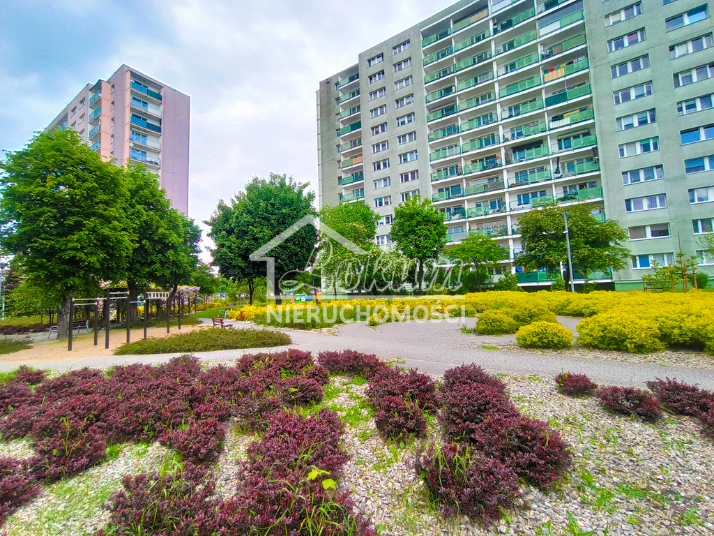 Mieszkanie 49&nbsp;m², Szczecin, Słoneczne, Łubinowa - zdjęcie 1