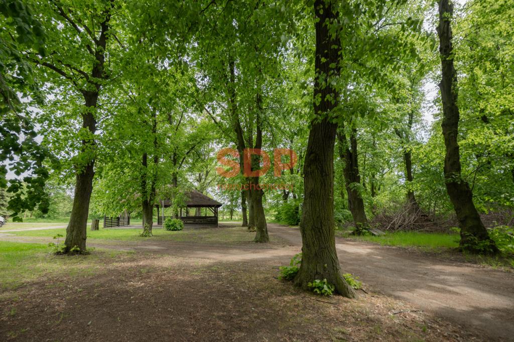 Magazyn na sprzedaż, 68500 m², Sadków, Letniskowa - zdjęcie 4