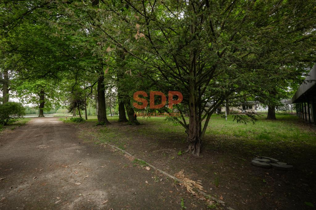 Magazyn na sprzedaż, 68500 m², Sadków, Letniskowa - zdjęcie 7