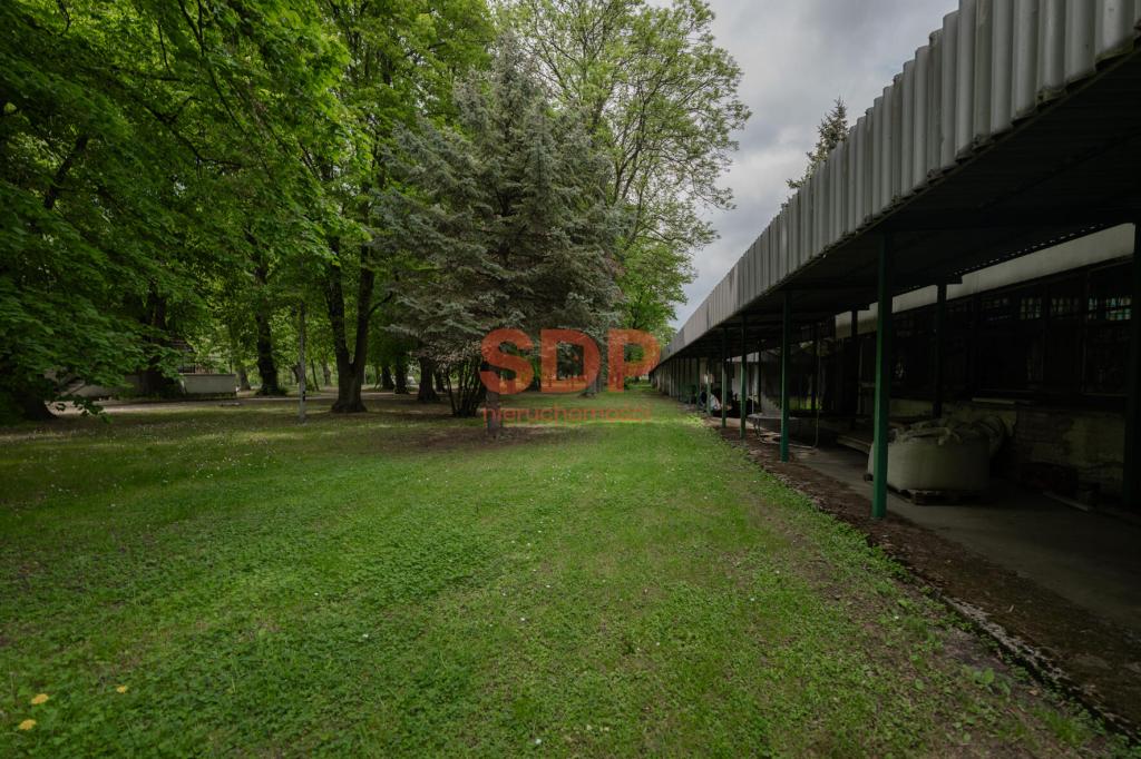 Magazyn na sprzedaż, 68500 m², Sadków, Letniskowa - zdjęcie 16