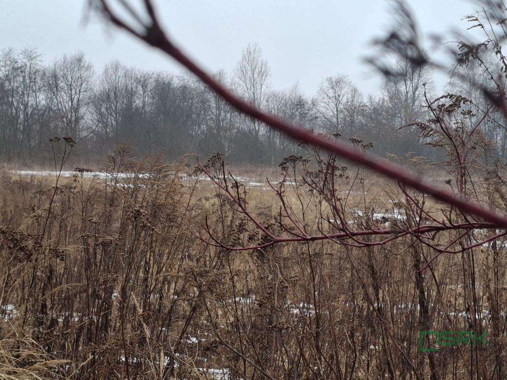 Działka inwestycyjna 8,81 ha, Brzeszcze, Drobniaka - zdjęcie 4