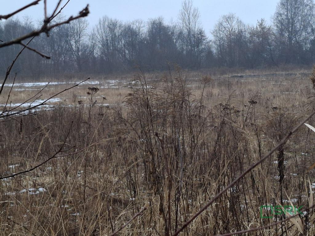 Działka inwestycyjna 8,81 ha, Brzeszcze, Drobniaka - zdjęcie 2