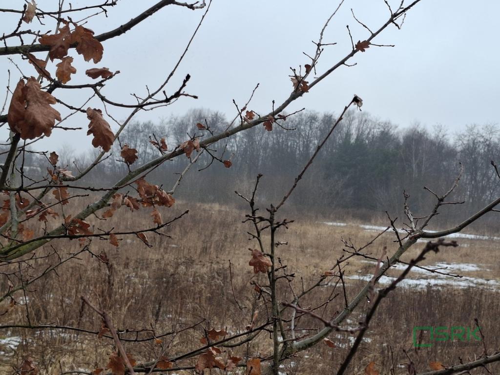 Działka inwestycyjna 8,81 ha, Brzeszcze, Drobniaka - zdjęcie 3