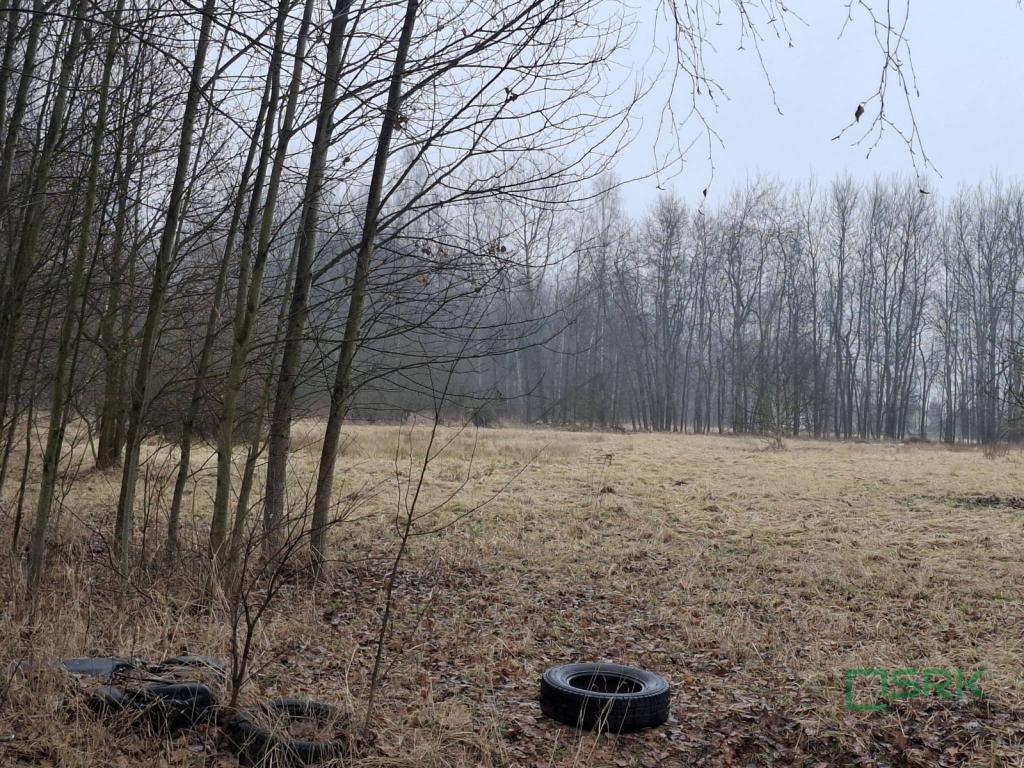 Działka inwestycyjna 12,18 ha, Brzeszcze, Graniczna - zdjęcie 2