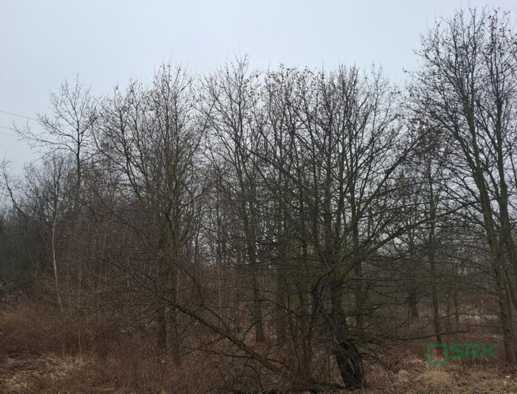 Działka inwestycyjna 3777 m², Brzeszcze, Przecieszyńska - zdjęcie 3