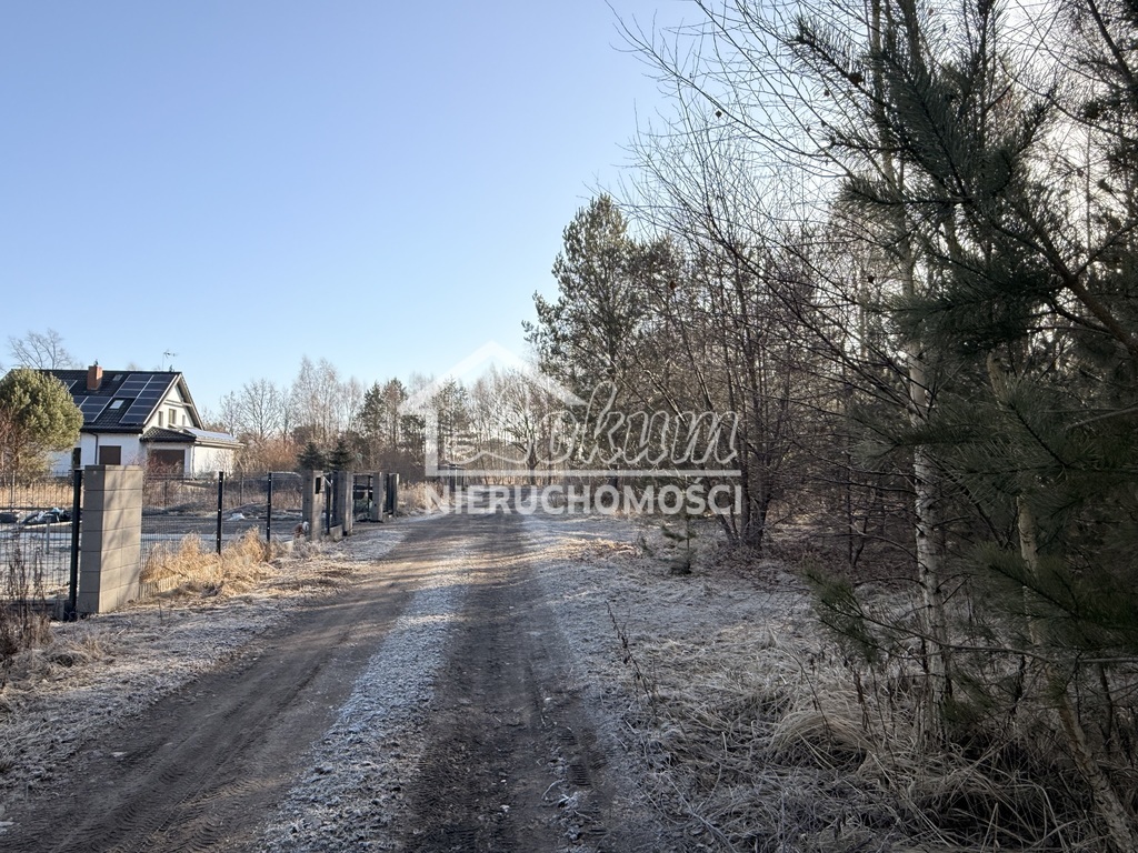 Działka budowlana 1200&nbsp;m², Tanowo - zdjęcie 2