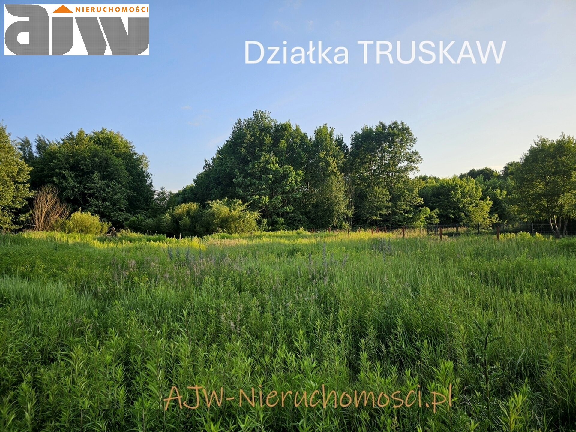 Działka Truskaw 1940 m2 - zdjęcie 1