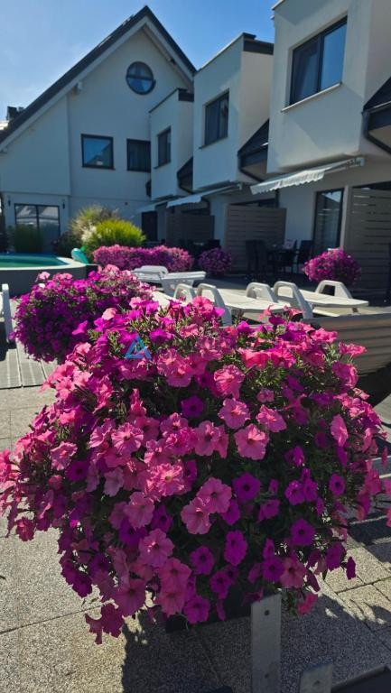 Kompleks apartamentowy 7 apartamentów Łeba/Nowęcin - zdjęcie 7