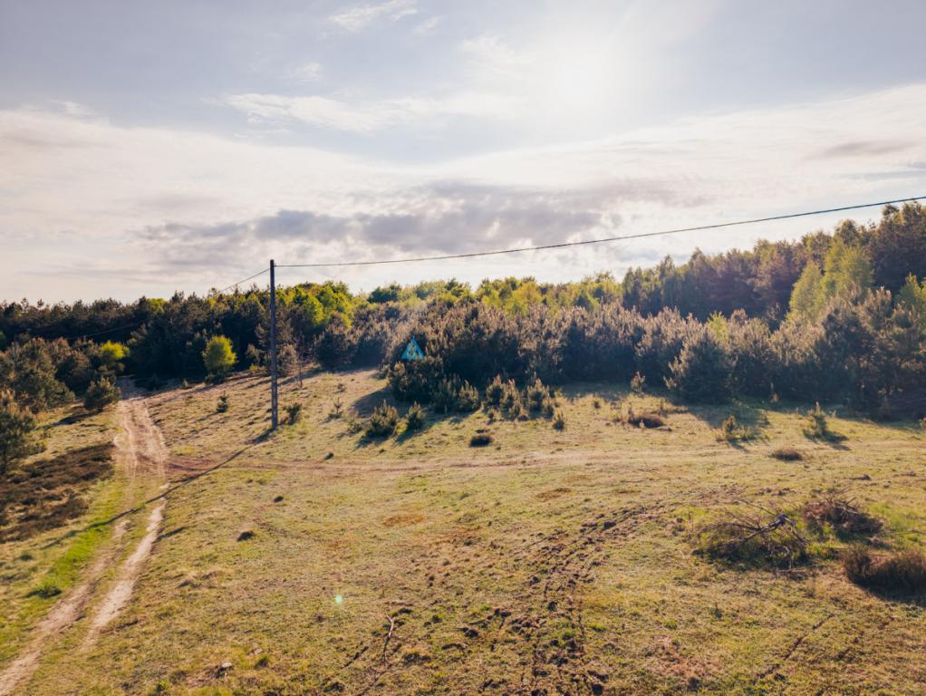 Będargowo duża działka inwestycyjna - zdjęcie 7