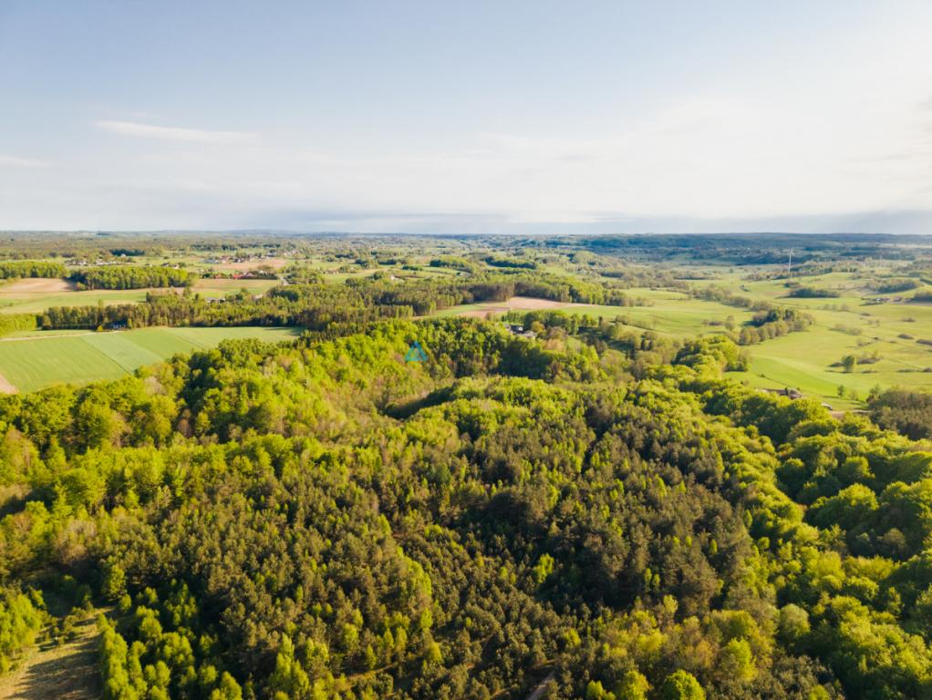 Będargowo duża działka inwestycyjna - zdjęcie 15