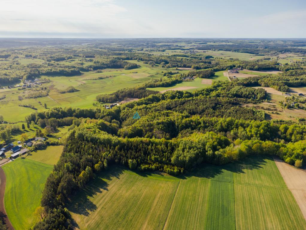 Będargowo duża działka inwestycyjna - zdjęcie 25