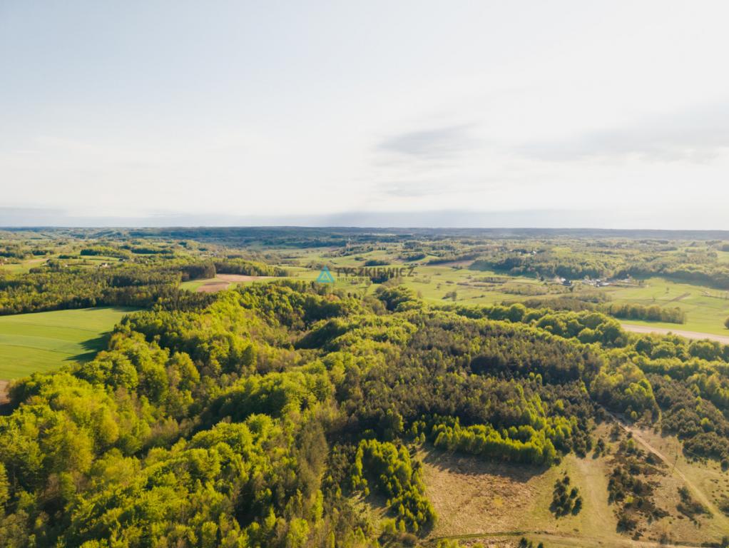 Będargowo duża działka inwestycyjna - zdjęcie 16