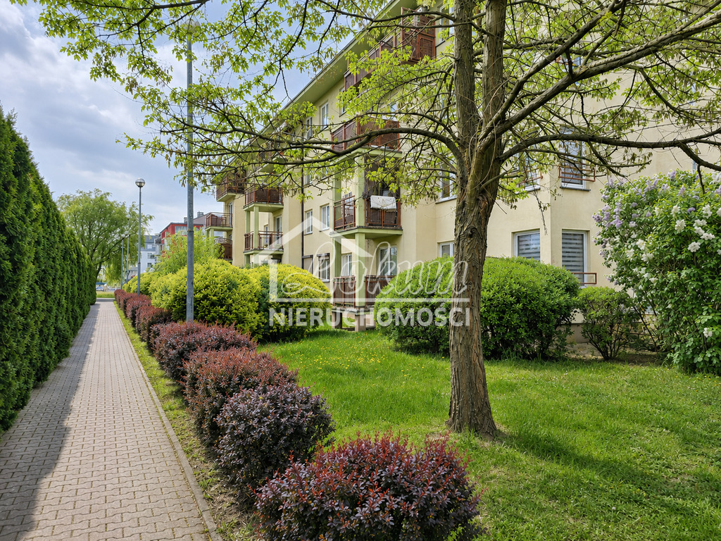 Mieszkanie 50,4&nbsp;m², Szczecin - zdjęcie 13