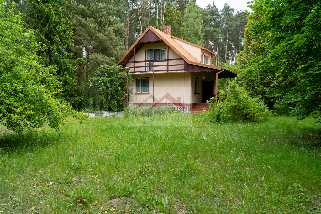 Działka rekreacyjna 1056&nbsp;m², Borkowo, Leśna - zdjęcie 12