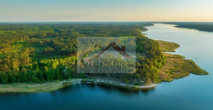 Działka inwestycyjna 5,15 ha, Rybitwy - zdjęcie 1