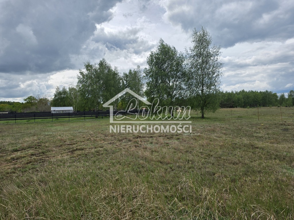 Działka budowlana 1501 m², Grzepnica - zdjęcie 2