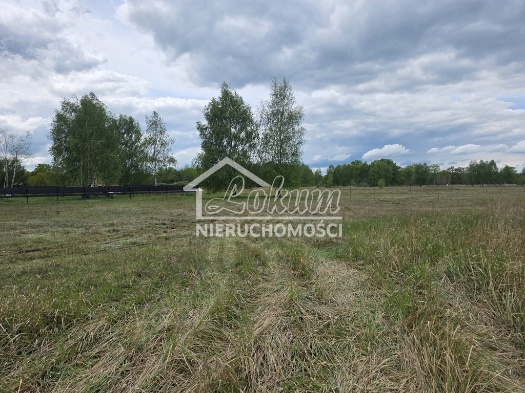Działka budowlana 1501 m², Grzepnica - zdjęcie 3