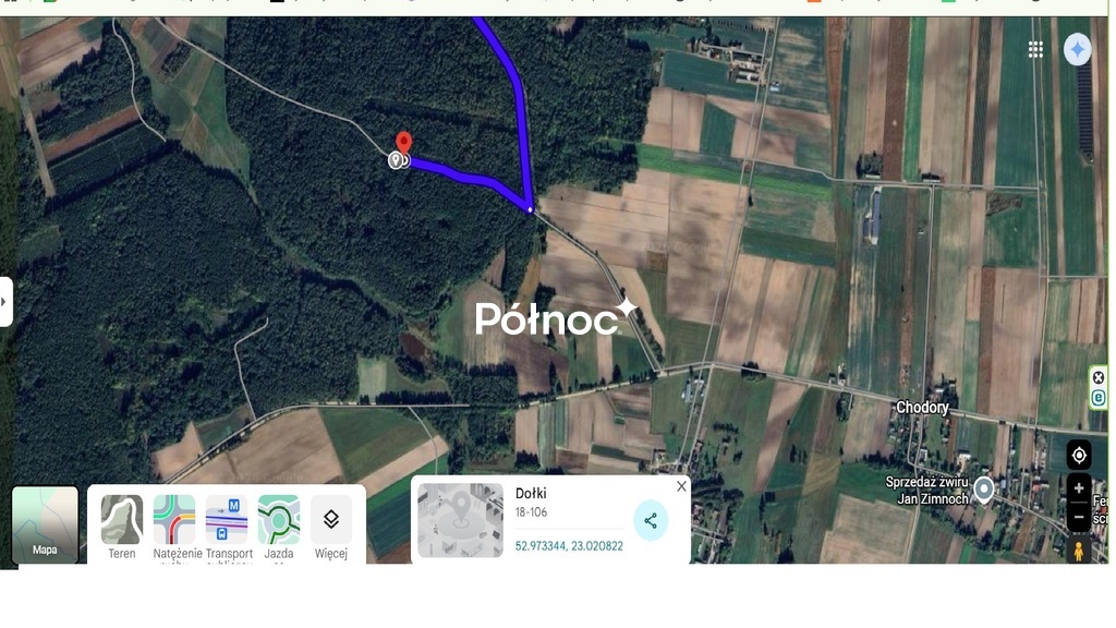 Działka rolna 5,78&nbsp;ha, Dołki - zdjęcie 2