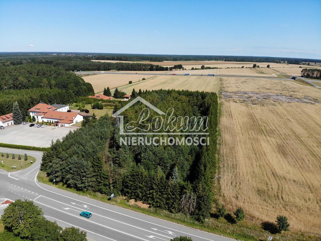 Działka inwestycyjna 1,19 ha, Kikorze - zdjęcie 7