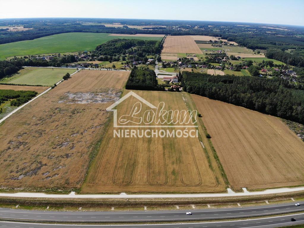 Działka inwestycyjna 1,19 ha, Kikorze - zdjęcie 3