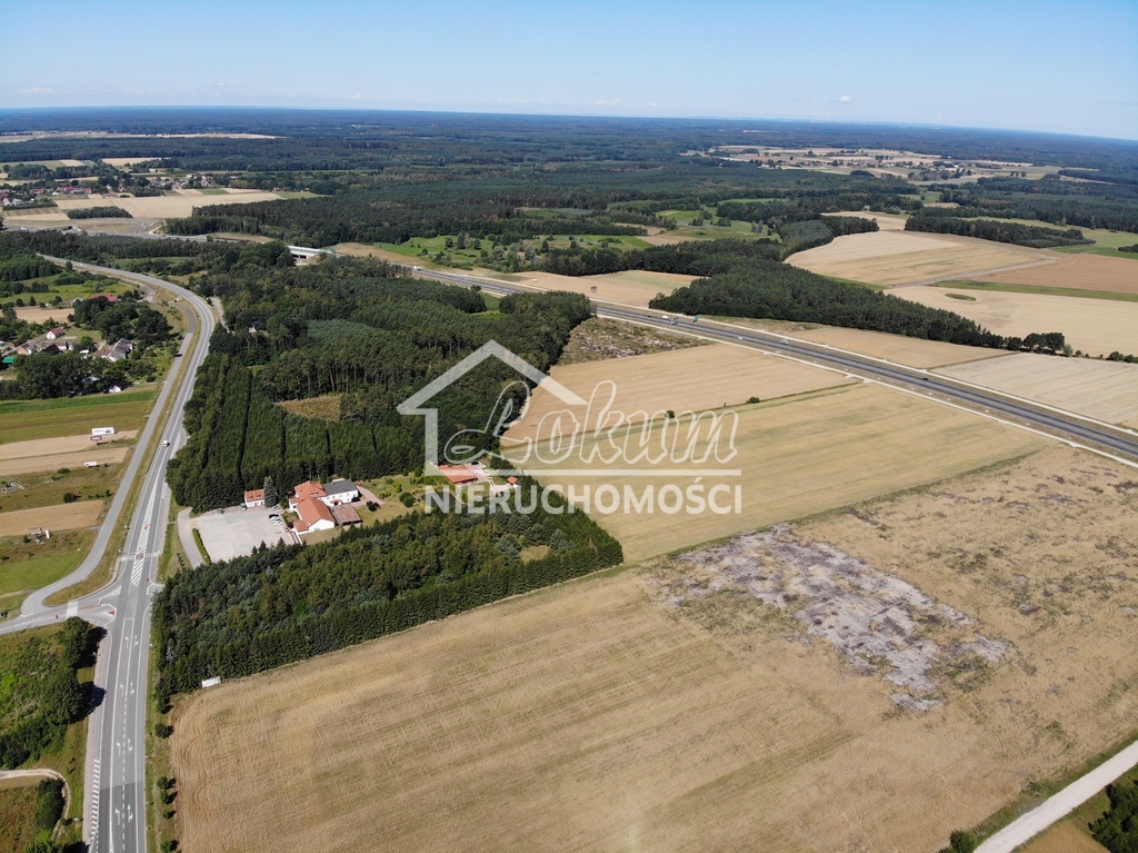 Działka inwestycyjna 1,19 ha, Kikorze - zdjęcie 1