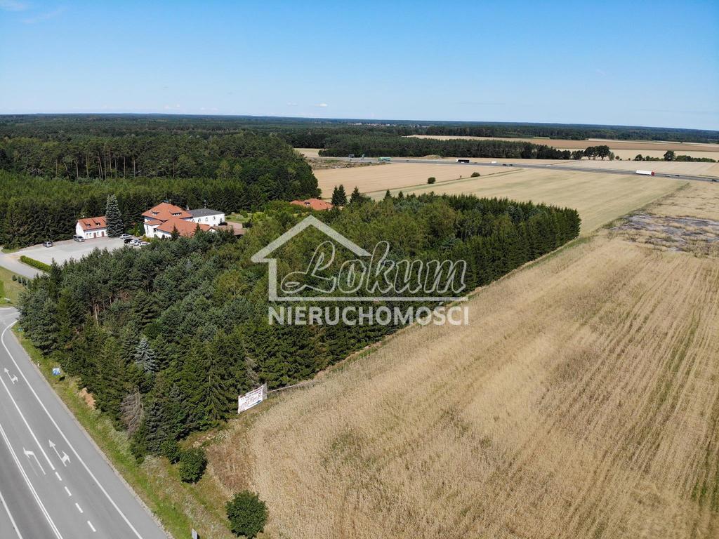 Działka inwestycyjna 1,19 ha, Kikorze - zdjęcie 6