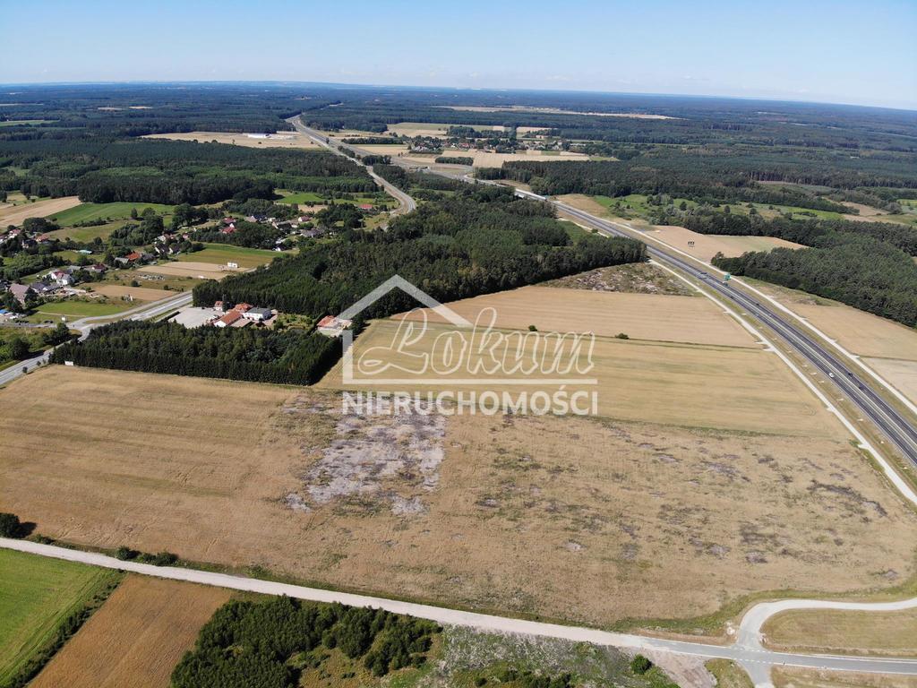 Działka inwestycyjna 1,19 ha, Kikorze - zdjęcie 5