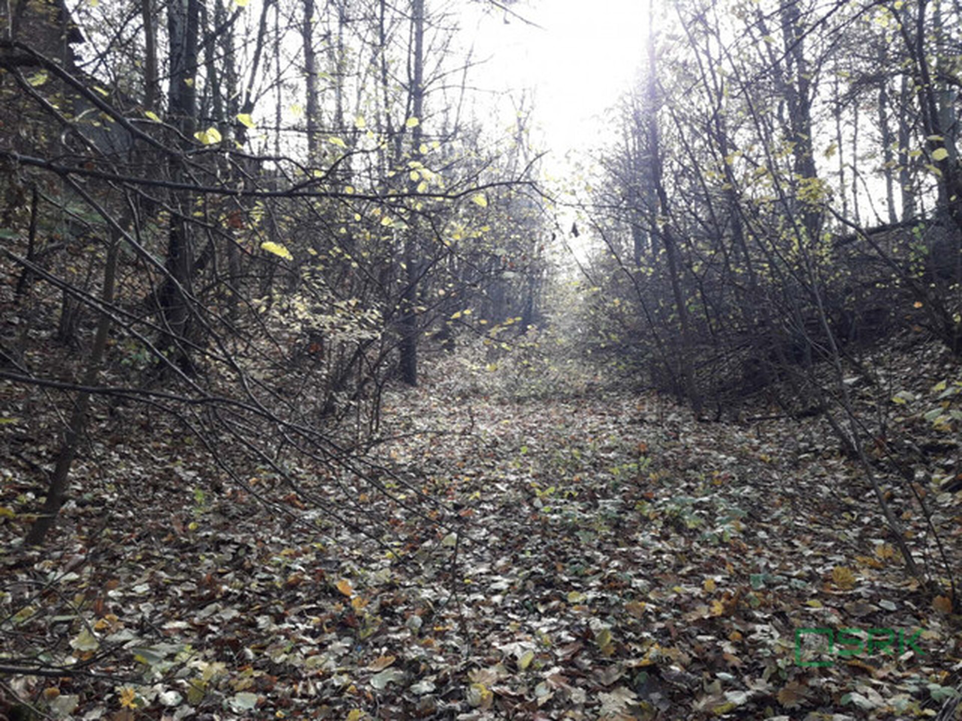 Nieruchomość położona w Katowicach przy ul. Szopienickiej - zdjęcie 5