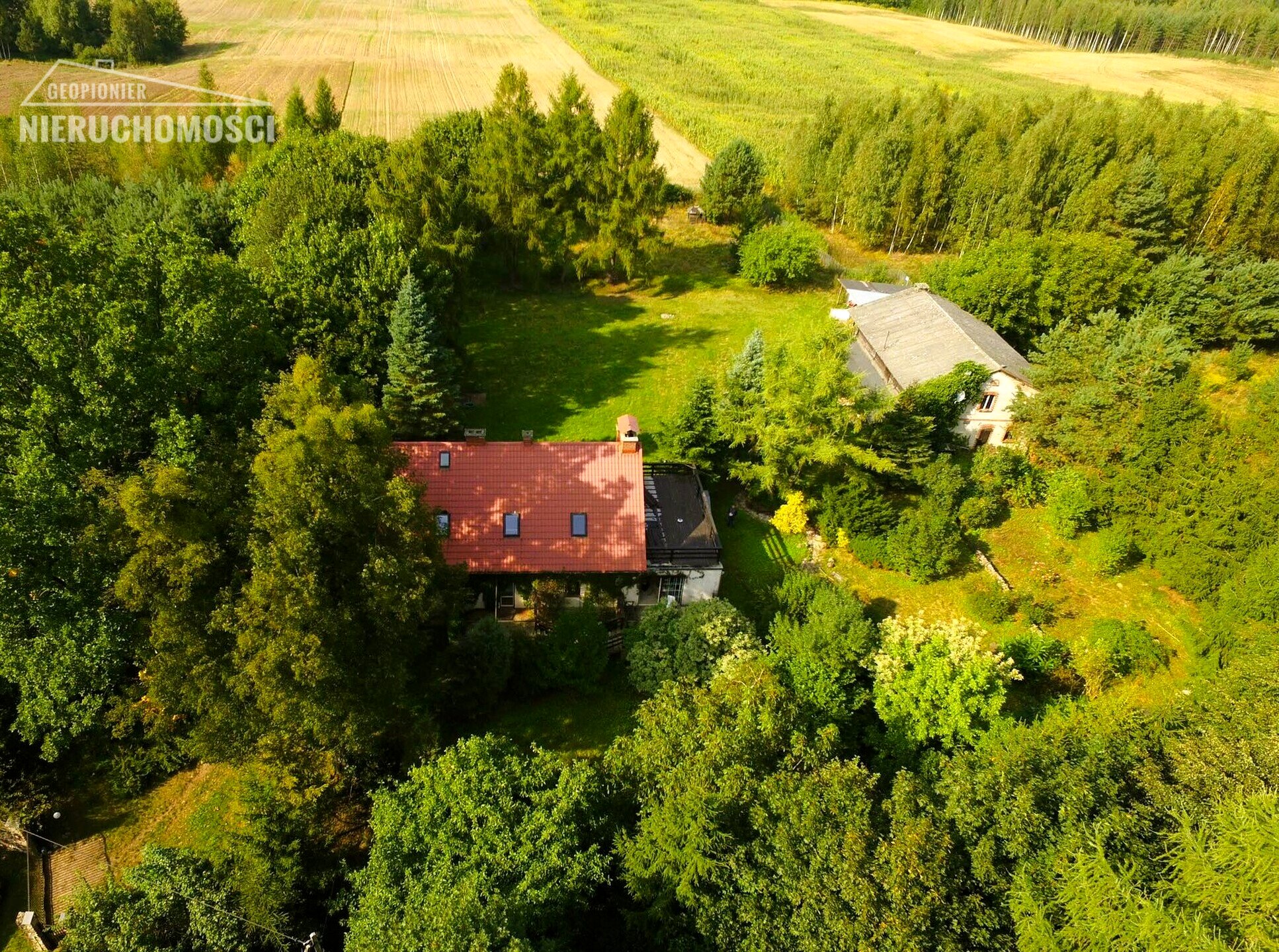 Dom - Siedlisko - Kalwa gm. Grunwald (powiat ostródzki), działka 6800m2 - zdjęcie 17