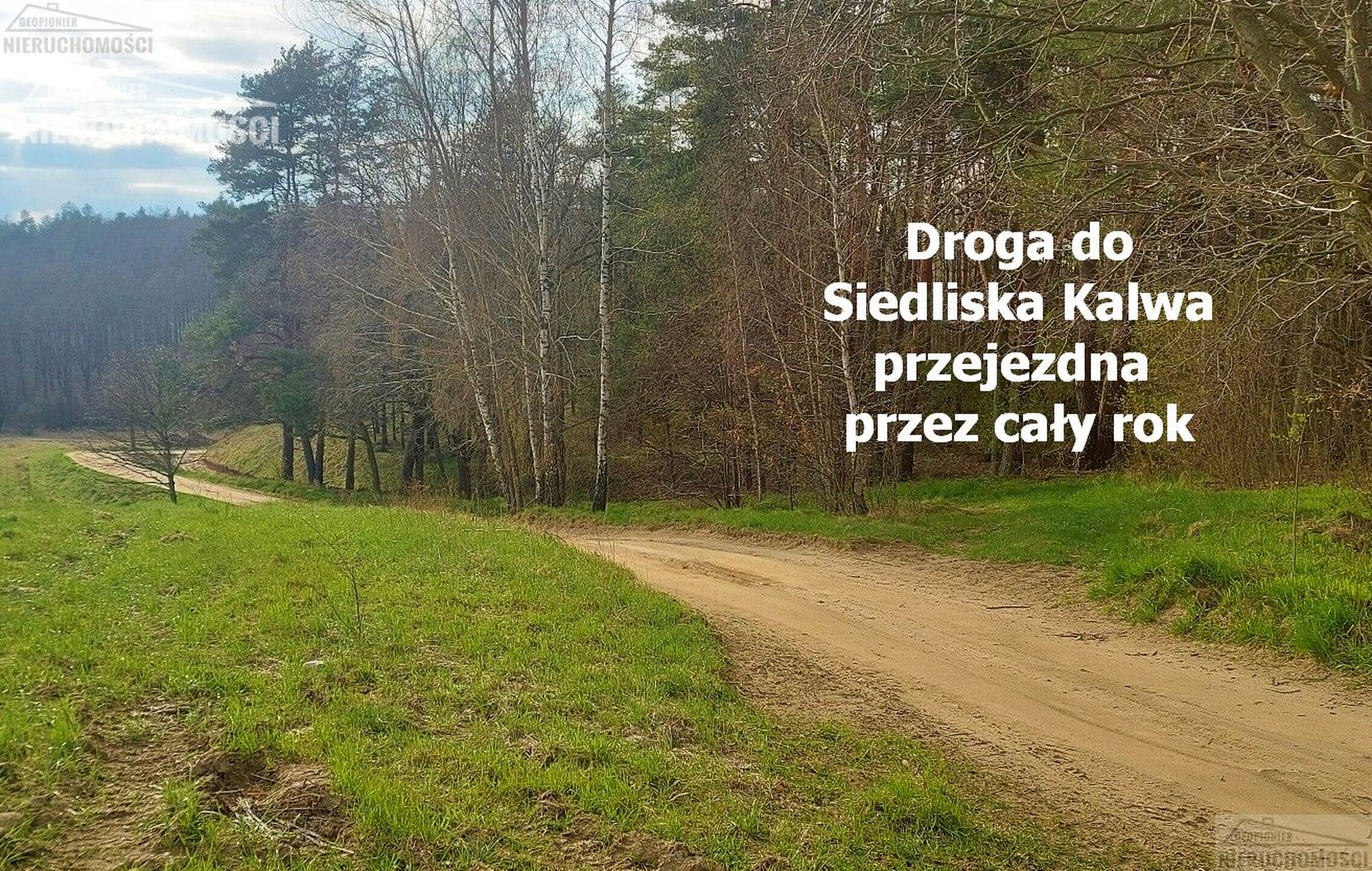 Dom - Siedlisko - Kalwa gm. Grunwald (powiat ostródzki), działka 6800m2 - zdjęcie 20