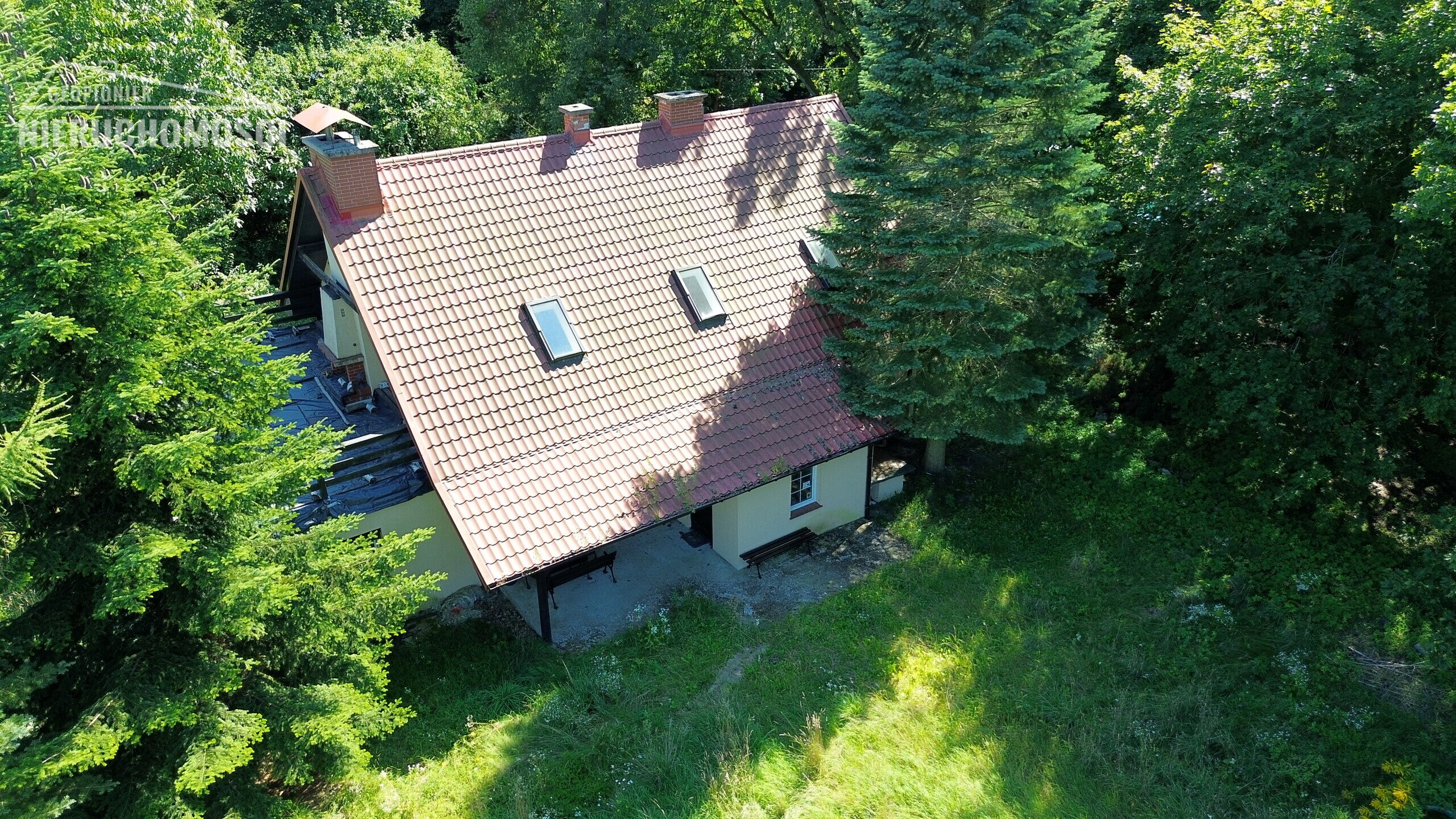 Dom - Siedlisko - Kalwa gm. Grunwald (powiat ostródzki), działka 6800m2 - zdjęcie 15
